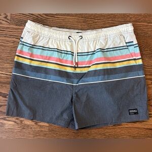 Ezekiel Men’s Boardshorts Multi Color Striped Size 38 NWOT